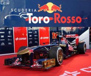 Puzzle Toro Rosso STR8 - 2013 -